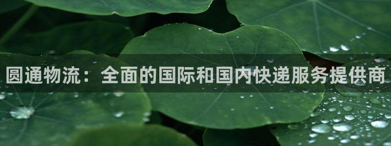 28圈软件是诈骗吗