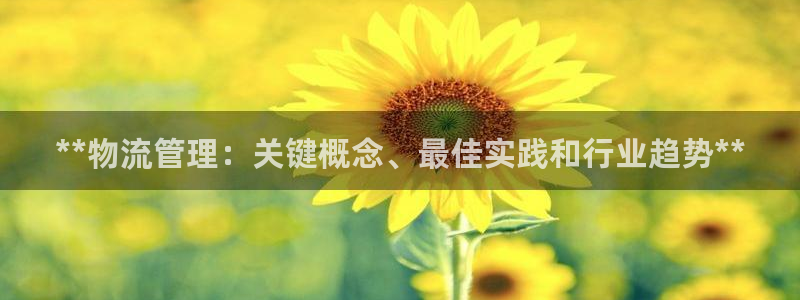 28圈的平台
