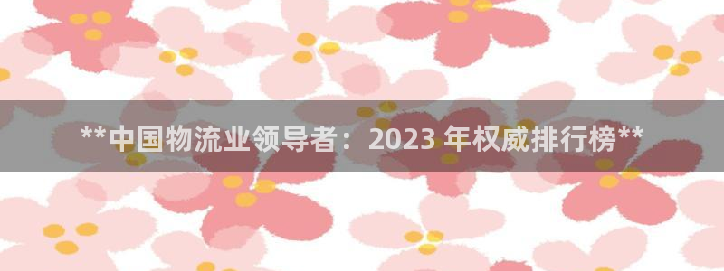 28圈注册官网：**中国物流业领导者
