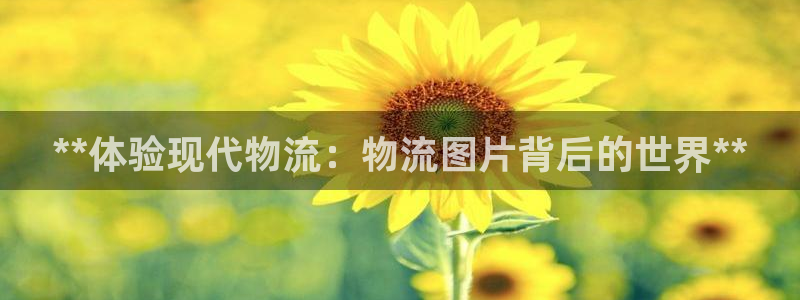 28圈链接：**体验现代物流：物流图