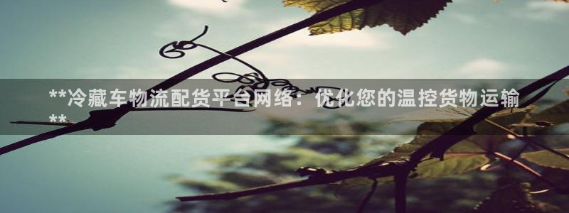 28圈账号注册:**冷藏车物流配货平