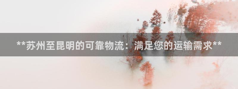 28圈登录用户名登录不上：**苏州至昆明的可靠物流：满足您的