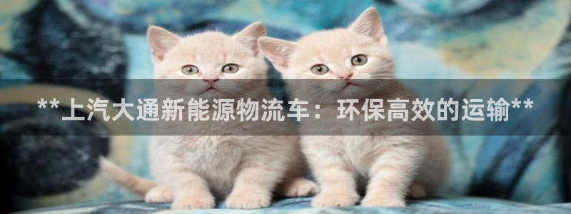 28圈.ccmpc29官网版