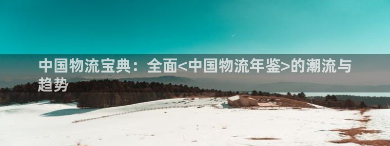 28圈p扣除是什么意思：中国物流宝典：全面<中国物流年鉴>的