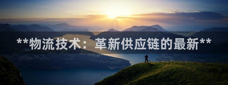 28圈网赌案件