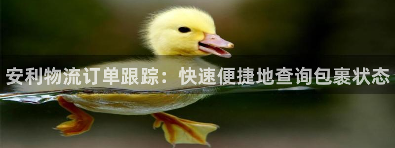 28圈注册步骤:安利物流订单跟踪:快