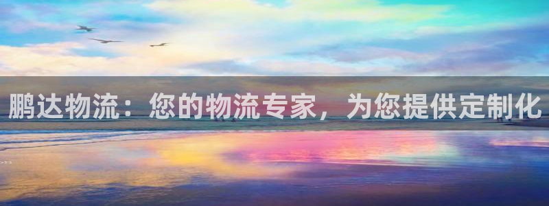 28圈娱乐官网网页：鹏达物流：您的物