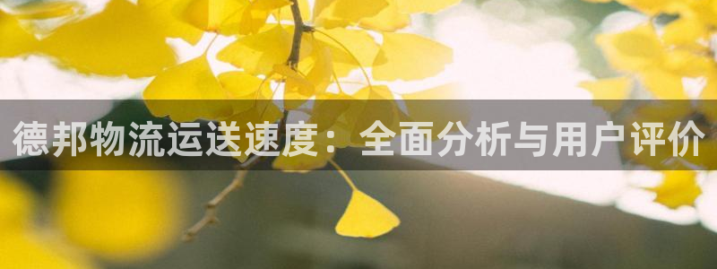 28圈模拟器