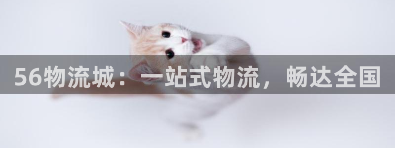 28圈客服电话