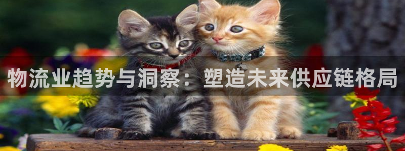28圈.ccmpc是诈骗吗?：物流业