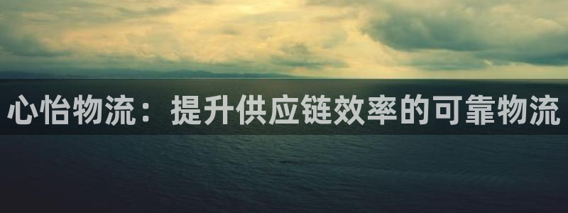 28圈官网平台：心怡物流：提升供应链