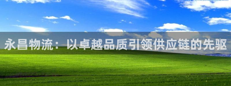 28圈注册：永昌物流：以卓越品质引领