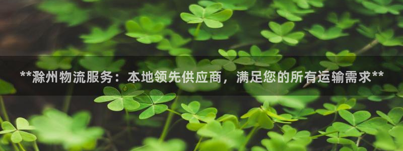 28圈pg麻将胡了：**滁州物流服务