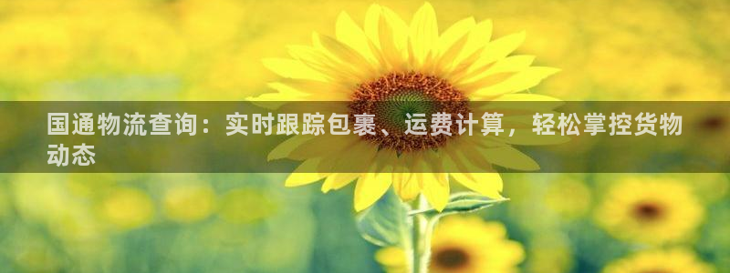 28圈注册官网：国通物流查询：实时跟