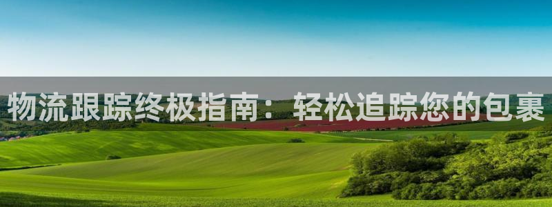 28圈注册网站链接：物流跟踪终极指南：轻松追踪您的包裹