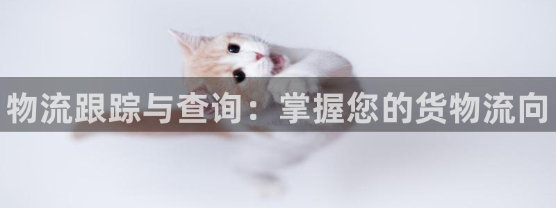 28圈加拿大28：物流跟踪与查询：掌