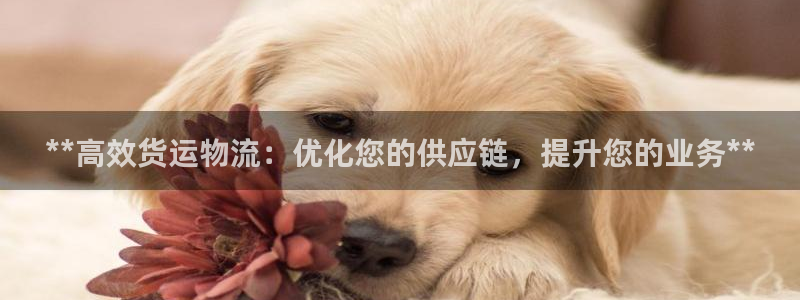 28圈如何注销账号：**高效货运物流