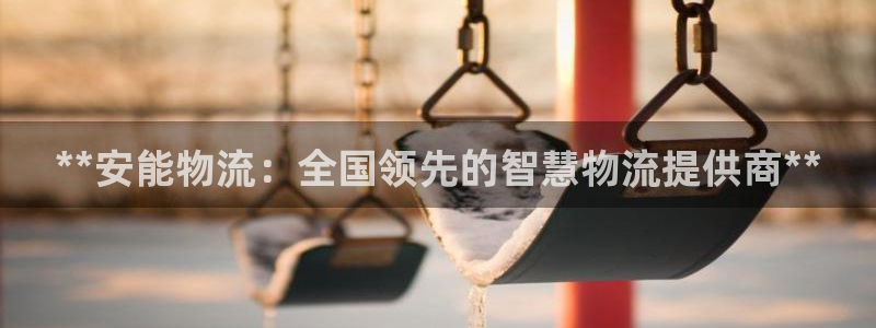 28圈网站平台是多少：**安能物流：