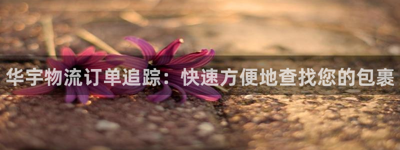 28圈加拿大走势
