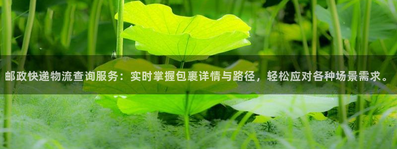 28圈APP是干什么的