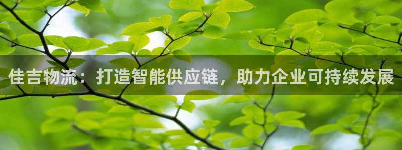 28圈退款
