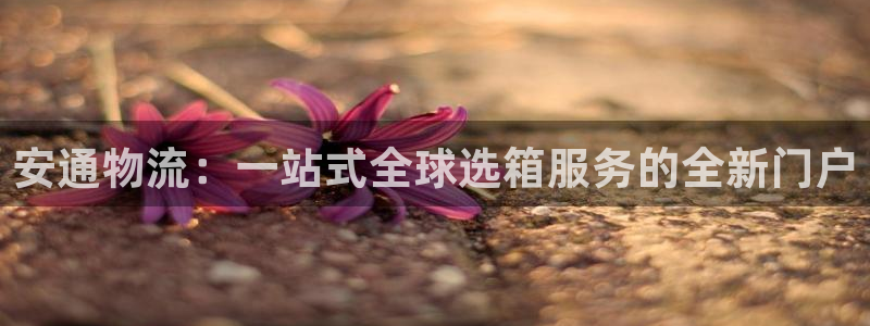 28圈返水怎么算的
