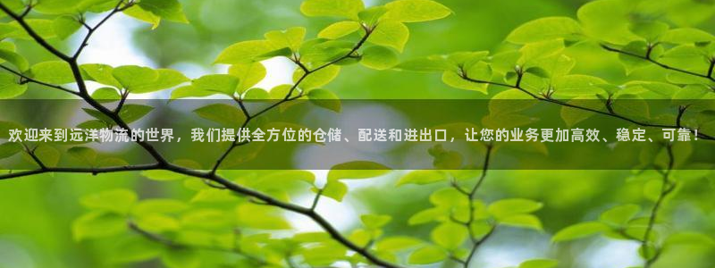 28圈机器人是什么软件