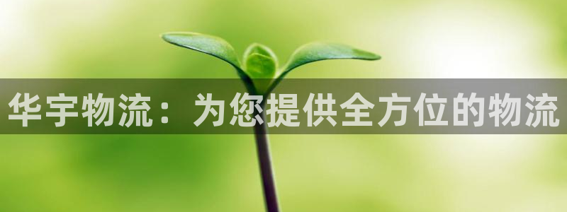 28圈注册登录链接流程:华宇物流:为