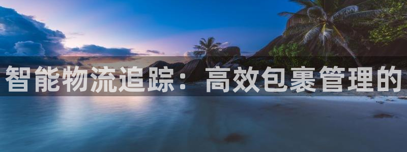 28圈登录:智能物流追踪:高效包裹管