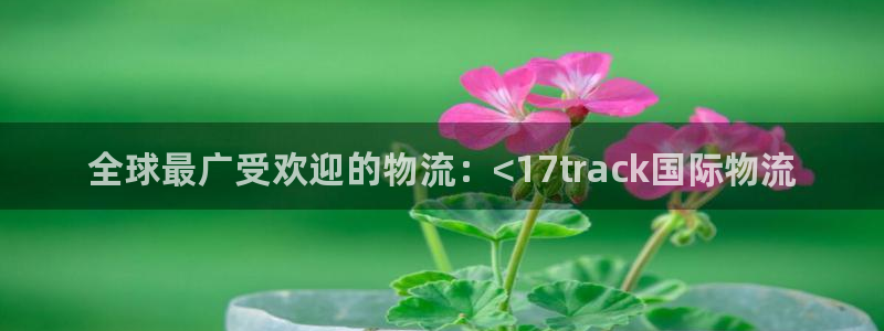 28圈怎么注册游戏名字：全球最广受欢