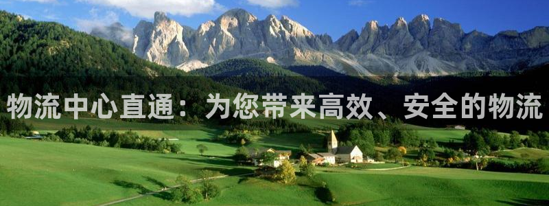 28圈游戏官网入口：物流中心直通：为