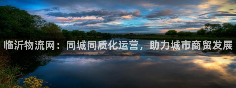 28圈登录用户名登录不上：临沂物流网