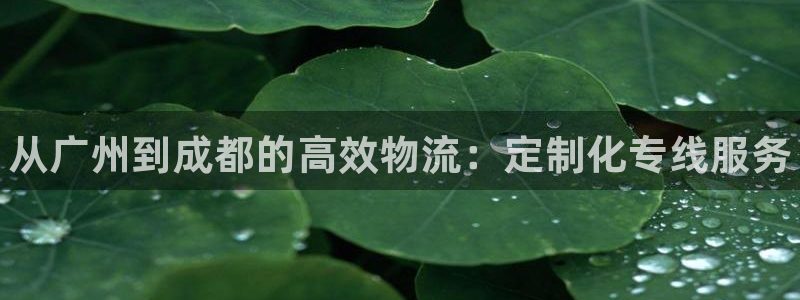 28圈自行车图片：从广州到成都的高效